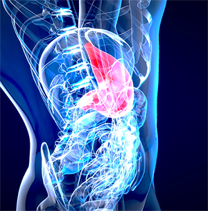 Best liver health supplement